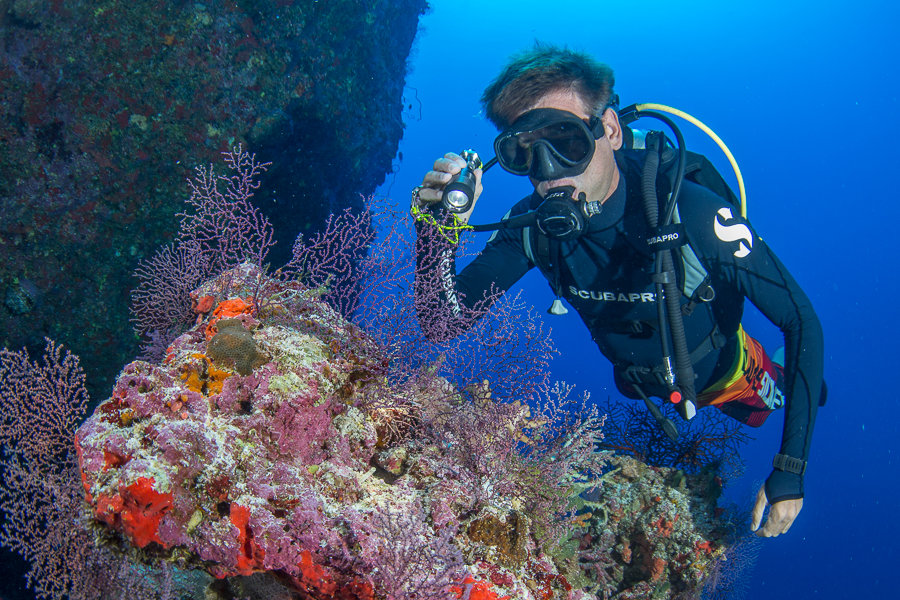 This picture shows a diver. The picture is featured by your Gili Meno dive center Divine Divers. Diving Gili Islands for beginners and experts. Fun Diving and courses and introduction dives. Accommodation and healthy restaurant on Gili Meno.