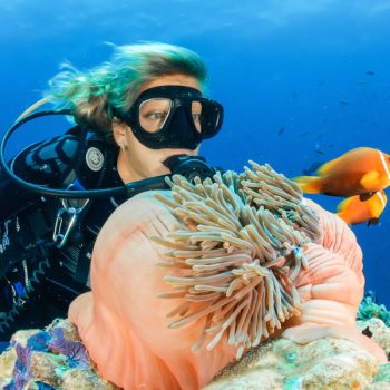 This picture shows a female diver in front of an anemone during the rescue course. The picture is featured by your Gili Meno dive center Divine Divers. Diving Gili Islands for beginners and experts. Fun Diving and courses and introduction dives. Accommodation and healthy restaurant on Gili Meno.