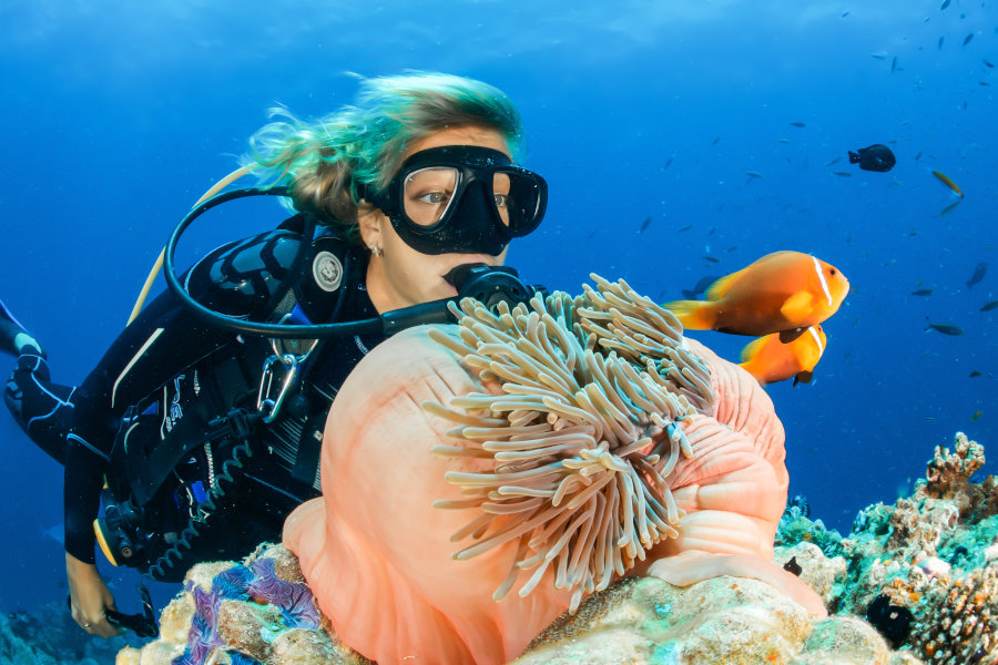 This picture shows a female diver in front of an anemone during the rescue course. The picture is featured by your Gili Meno dive center Divine Divers. Diving Gili Islands for beginners and experts. Fun Diving and courses and introduction dives. Accommodation and healthy restaurant on Gili Meno.