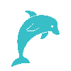 This picture shows a dolphin icon. The picture is featured by your Gili Meno dive center Divine Divers. Diving Gili Islands for beginners and experts. Fun Diving and courses and introduction dives. Accommodation and healthy restaurant on Gili Meno.