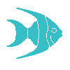 This picture shows a fish icon. The picture is featured by your Gili Meno dive center Divine Divers. Diving Gili Islands for beginners and experts. Fun Diving and courses and introduction dives. Accommodation and healthy restaurant on Gili Meno.