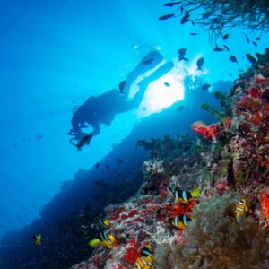 Deep Dive Specialty