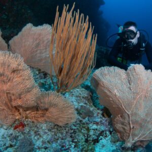 Adventure Diver Course