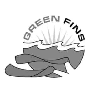 green-fins-divine-divers-gili-meno